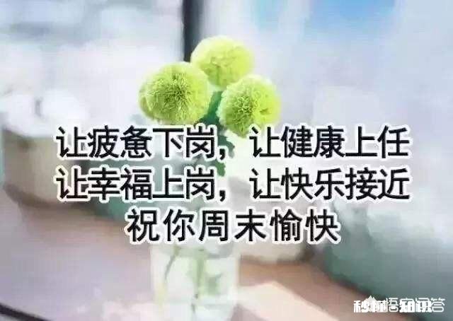 用一个词形容你为什么喜欢周末
