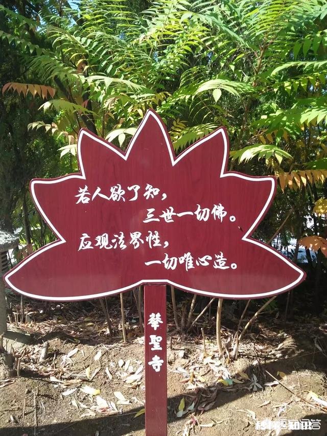 用一个词形容你为什么喜欢周末