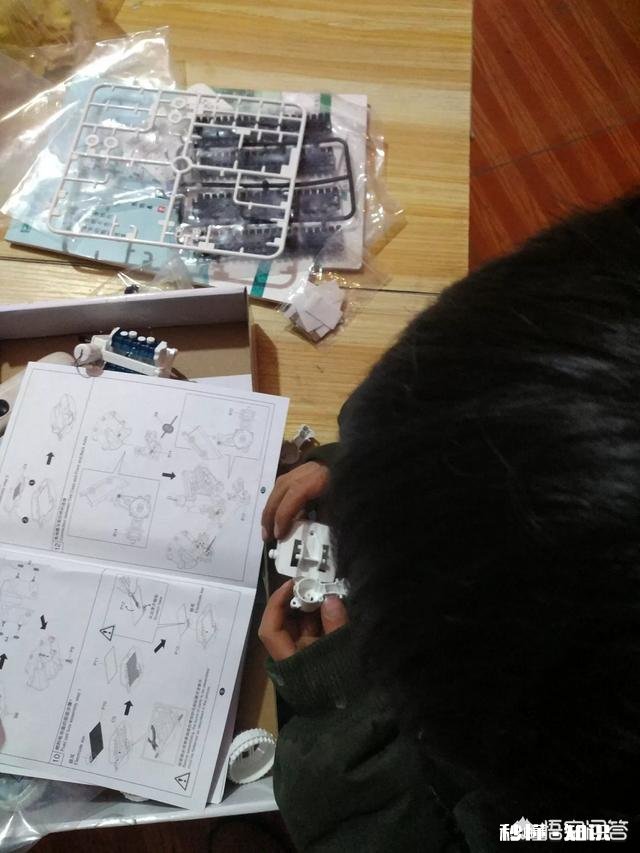 如何培养孩子敢于尝试和勇于探索的能力呢