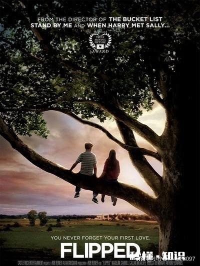 有哪些好看的电视或电影，求推荐