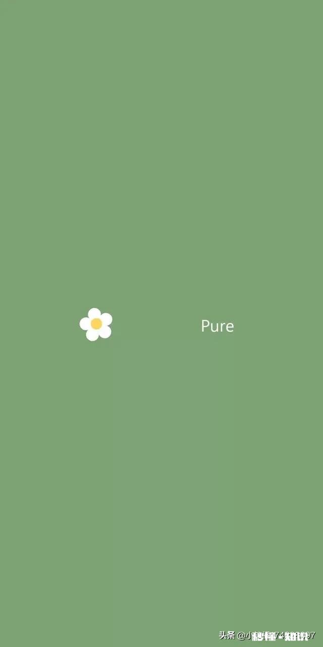 有哪些好看的电视或电影，求推荐