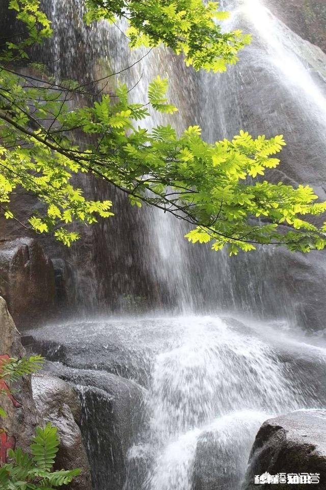 你愿意喝自来水还是桶装水，或者家用净水器的纯净水