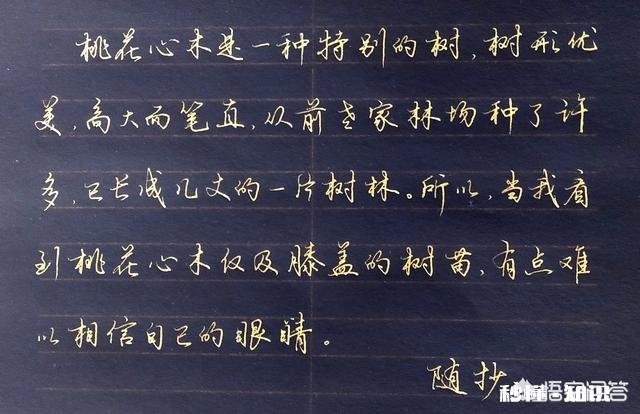 在硬笔书法练习中，刻意追求法帖的用笔技巧，真的好吗