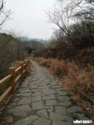 为什么现在有的人喜欢做白日梦跟读书多少有关系吗