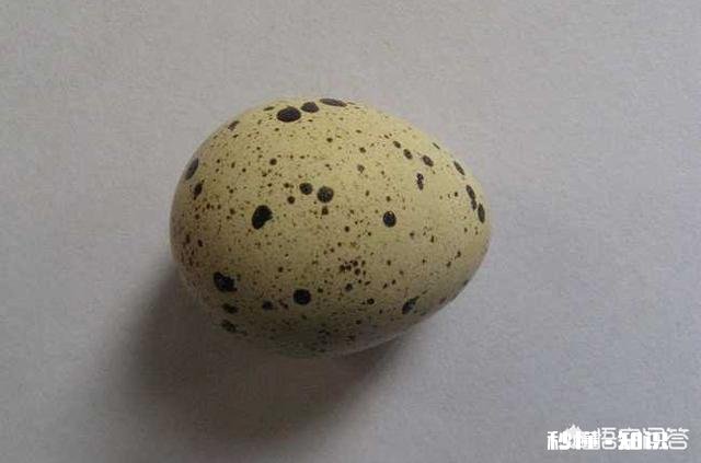 三岁宝宝每天早上吃一颗煮鸡蛋可以引起便秘吗