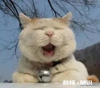 网购维权成立后，商家用40分钟验证码短信轰炸怎么办