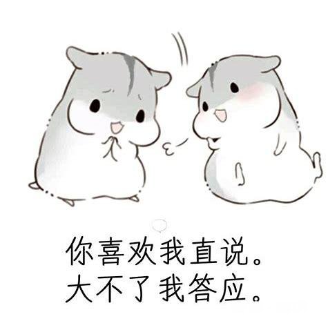 你觉得会撩人和有才华哪个更吸引你