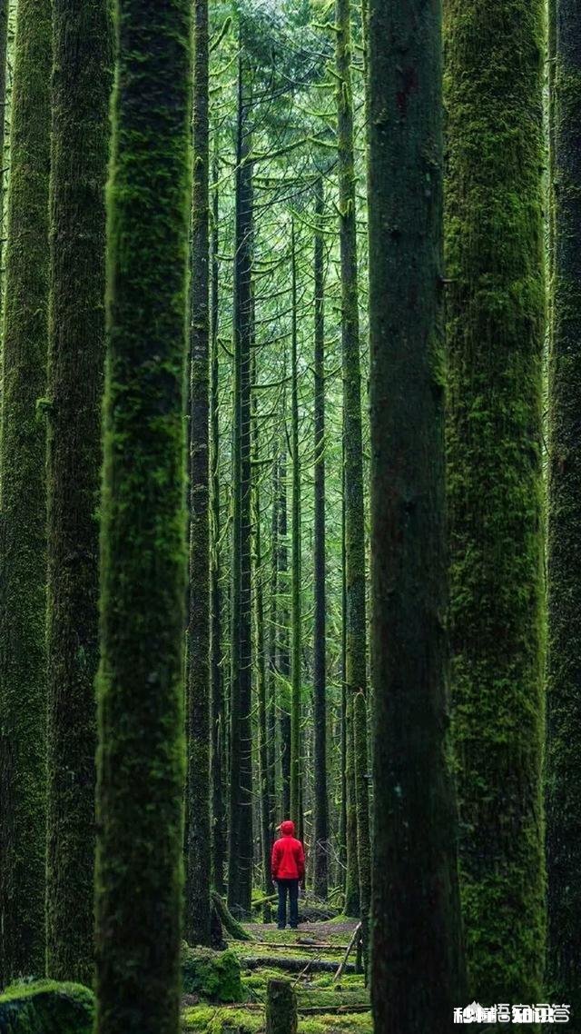 有什么好看壁纸、头像、图片值得分享的