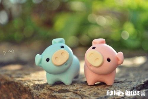 有什么好看壁纸、头像、图片值得分享的