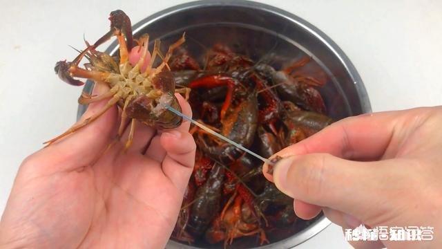 小龙虾配方是什么