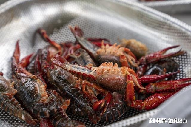小龙虾配方是什么