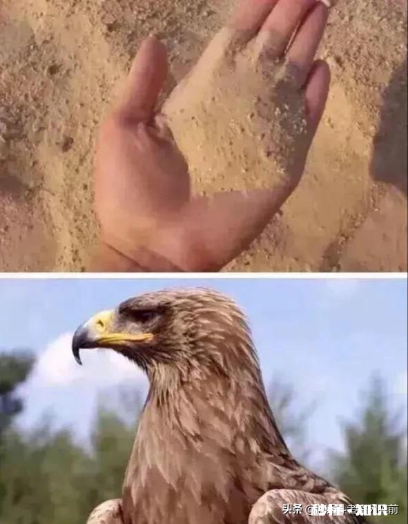 AMD Zen 2处理器架构为何要如此设计