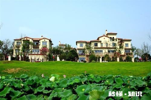 万科和碧桂园面试成功，选择哪个