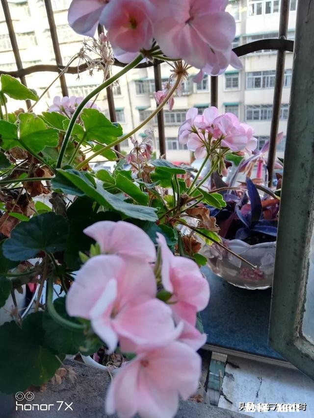 情人节在朋友圈里晒红包的都是什么心理