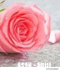 情人节在朋友圈里晒红包的都是什么心理