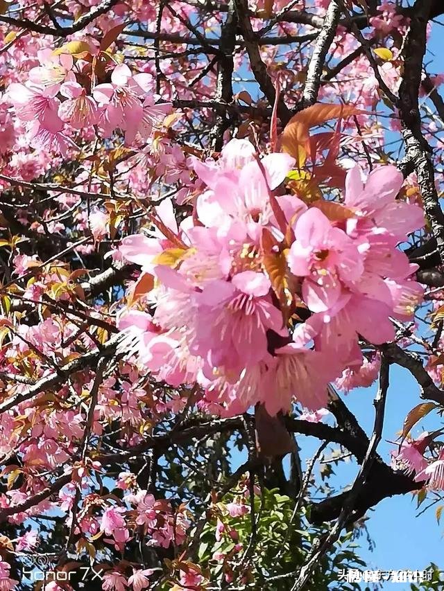 情人节在朋友圈里晒红包的都是什么心理