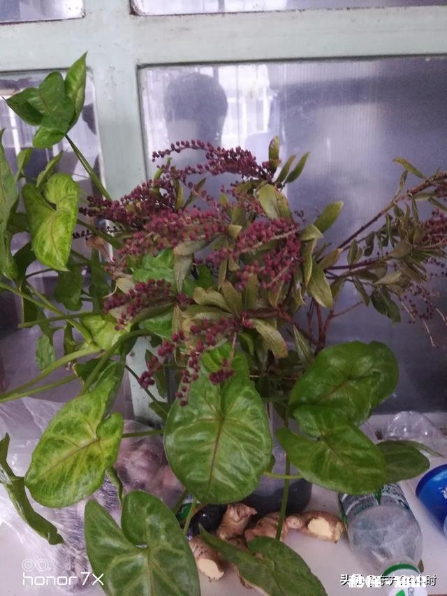 情人节在朋友圈里晒红包的都是什么心理