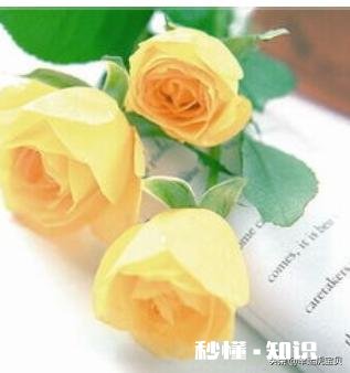 情人节在朋友圈里晒红包的都是什么心理