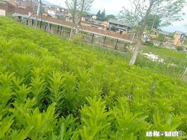 有哪些不良习惯被医生列入伤肝黑名单