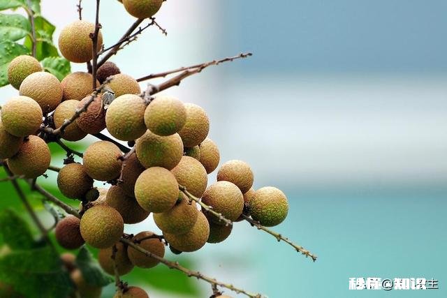 备孕时，出现什么征兆，说明受精卵着床了