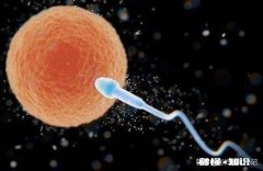 备孕时，出现什么征兆，说明受精卵着床了