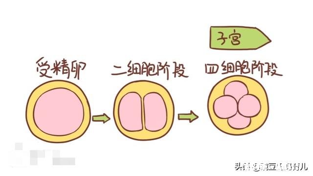 备孕时，出现什么征兆，说明受精卵着床了