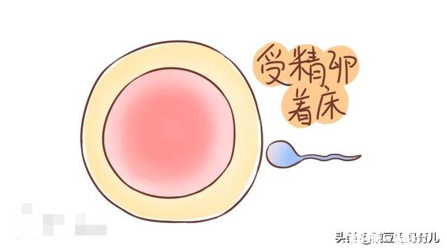 备孕时，出现什么征兆，说明受精卵着床了