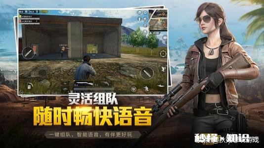 《和平精英》超越王者成新一任腾讯摇钱树，四天时间获利五亿人民币，网友震惊，如何