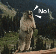 身无分文来到杭州，怎么活下去如何活得久