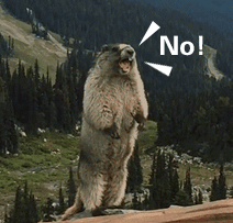 身无分文来到杭州，怎么活下去如何活得久