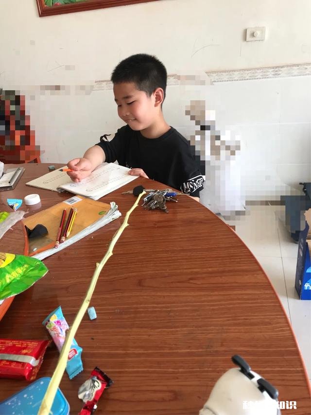 神兽们就要开学了,你们是什么心情