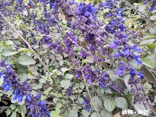 你有为难无助的时候吗