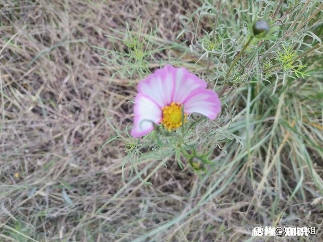 你有为难无助的时候吗