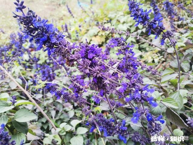 你有为难无助的时候吗