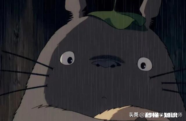 中考的孩子家长应该注意什么