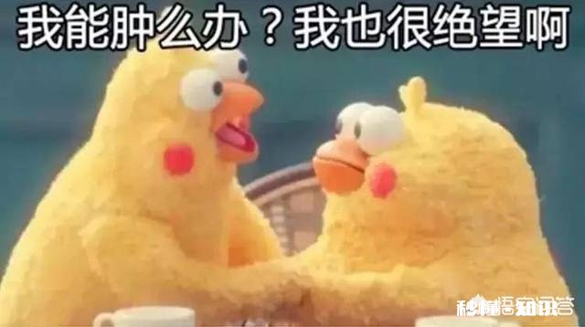 学生上课玩手机,被发现后主动砸掉,事情被曝光后,老师依然要受处罚,这事你怎么看