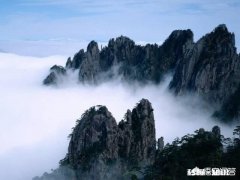 中国茶如何更好融入世界竞争格局