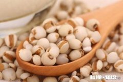 薏米赤小豆芡实茯苓都需要炒吗