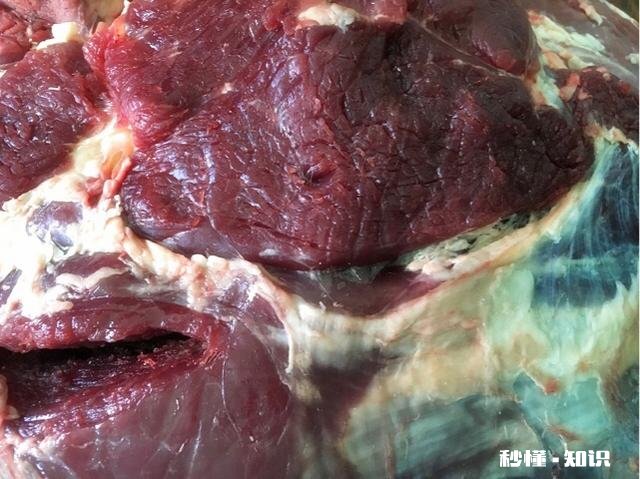 怎样作麻辣牛肉干