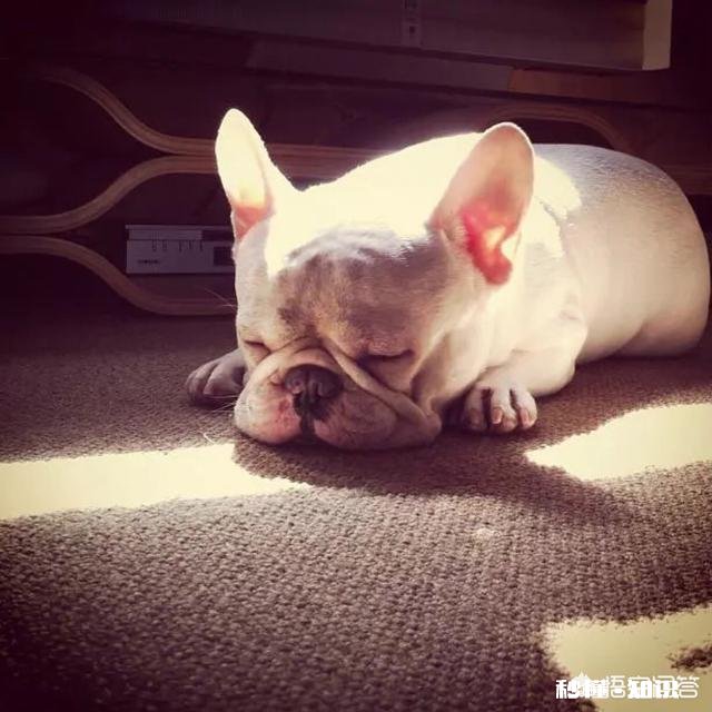 俗话说“人睡三觉，命比纸薄”，您知道有哪三种觉不能睡吗为什么