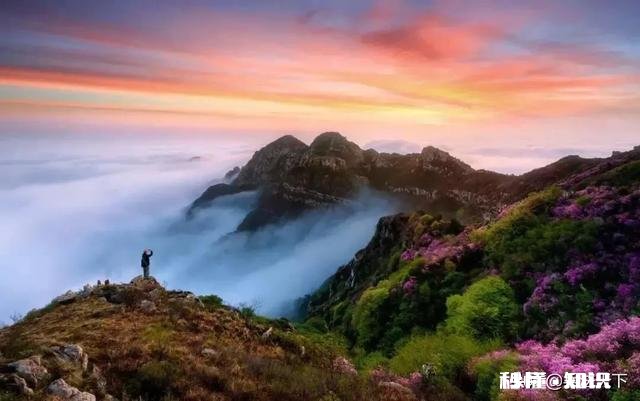 有哪些你觉得越读越回味无穷的古诗词呢