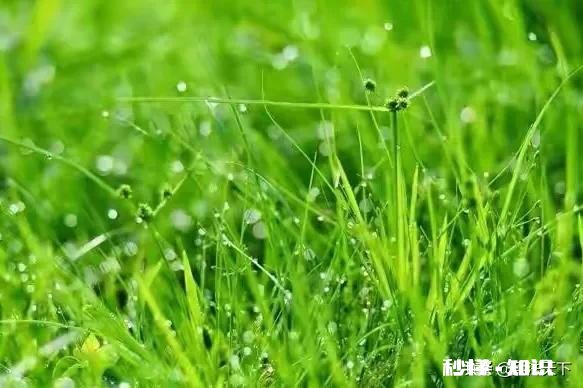 有哪些你觉得越读越回味无穷的古诗词呢