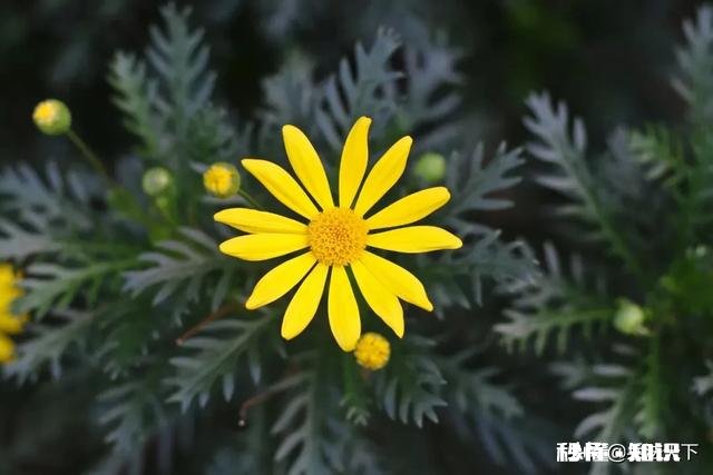 有哪些你觉得越读越回味无穷的古诗词呢