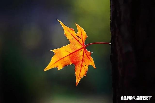 有哪些你觉得越读越回味无穷的古诗词呢