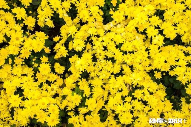 有哪些你觉得越读越回味无穷的古诗词呢