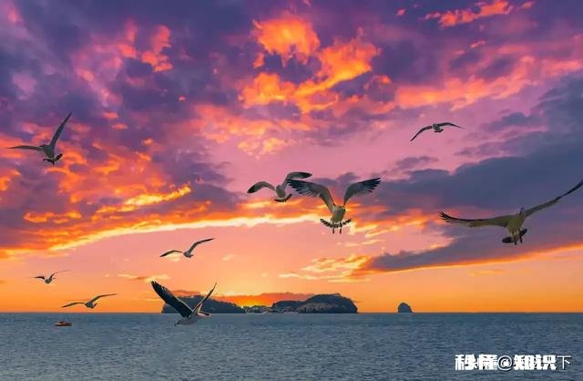 有哪些你觉得越读越回味无穷的古诗词呢