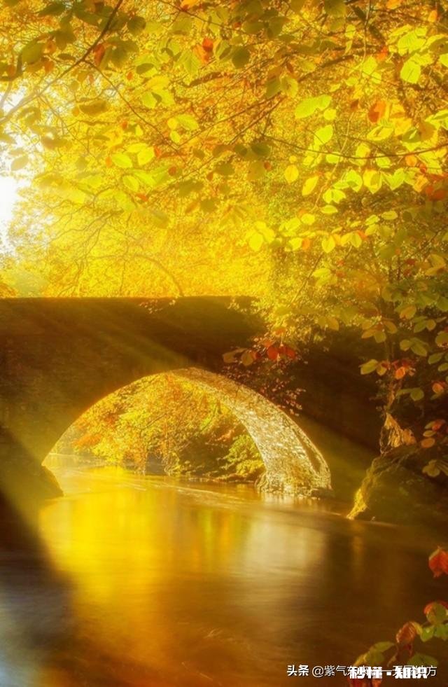 有哪些你觉得越读越回味无穷的古诗词呢