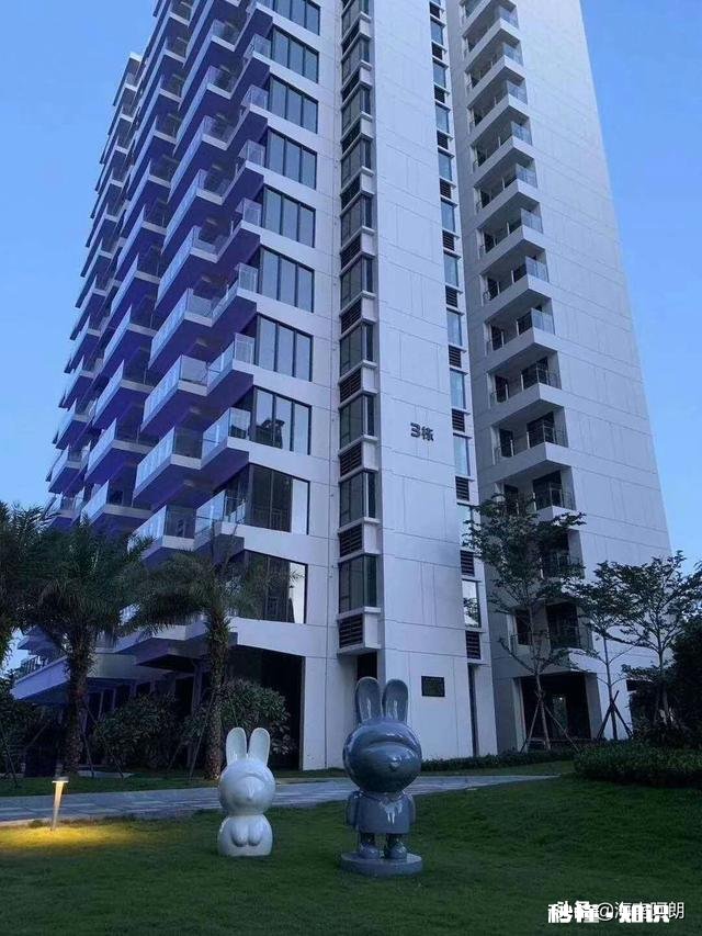 为什么都说现在炒房炒地，就是赌博