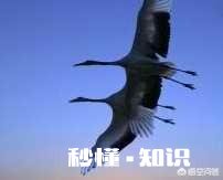 在大学谈恋爱的好处和坏处是什么