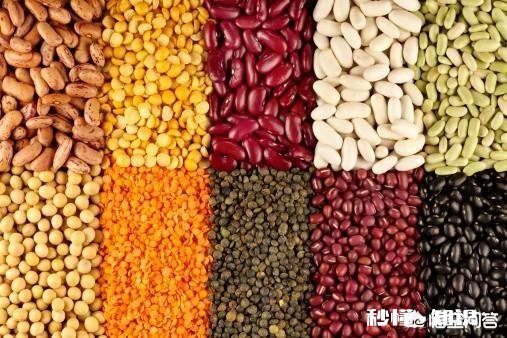 除了黄豆，其它豆类可以成为肥料吗有哪些可以